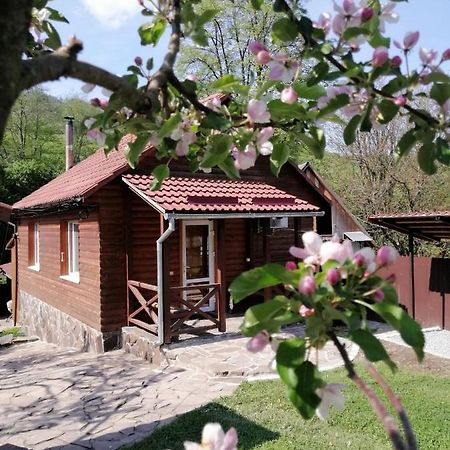 Зачаровані Карпати, Воловець Экстерьер фото