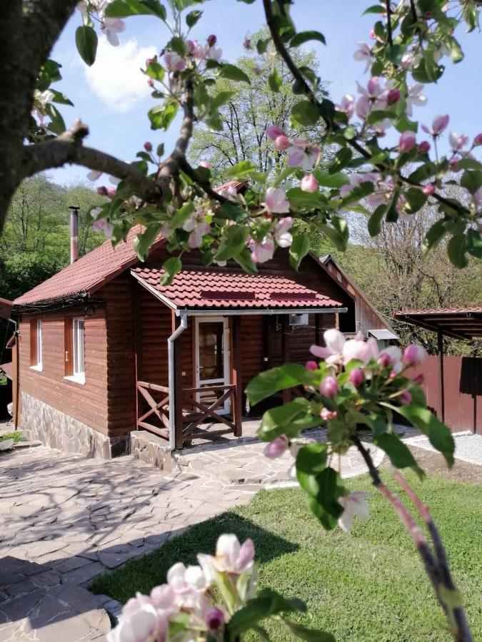 Зачаровані Карпати, Воловець Экстерьер фото