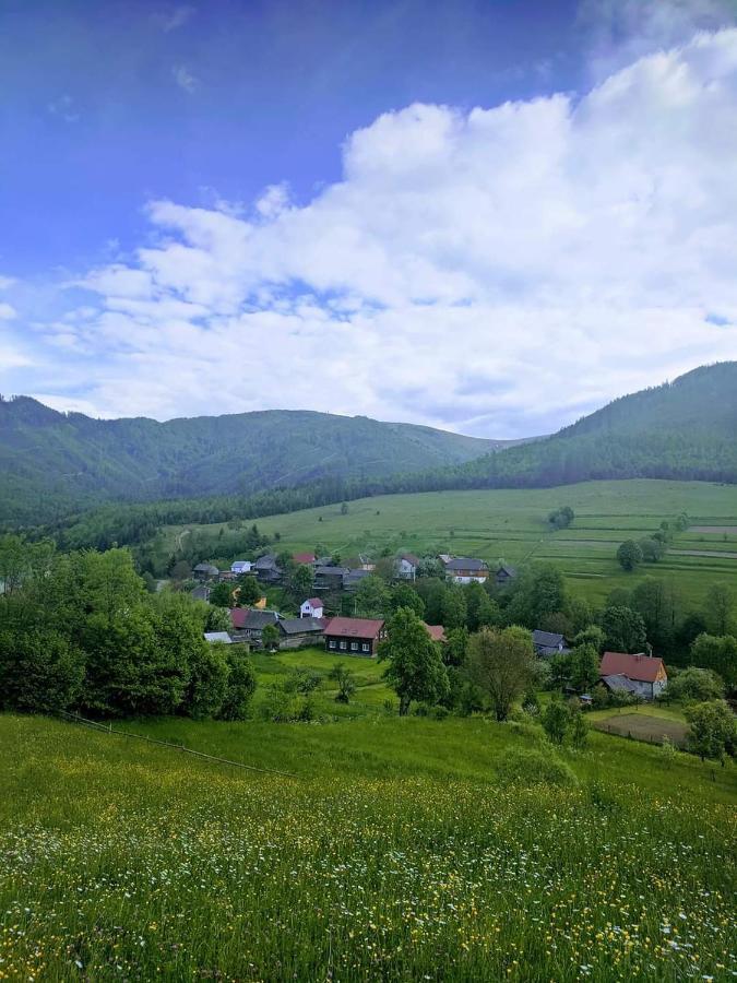 Зачаровані Карпати, Воловець Экстерьер фото