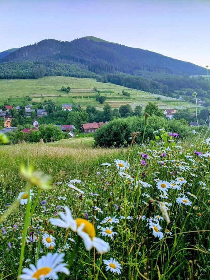 Зачаровані Карпати, Воловець Экстерьер фото