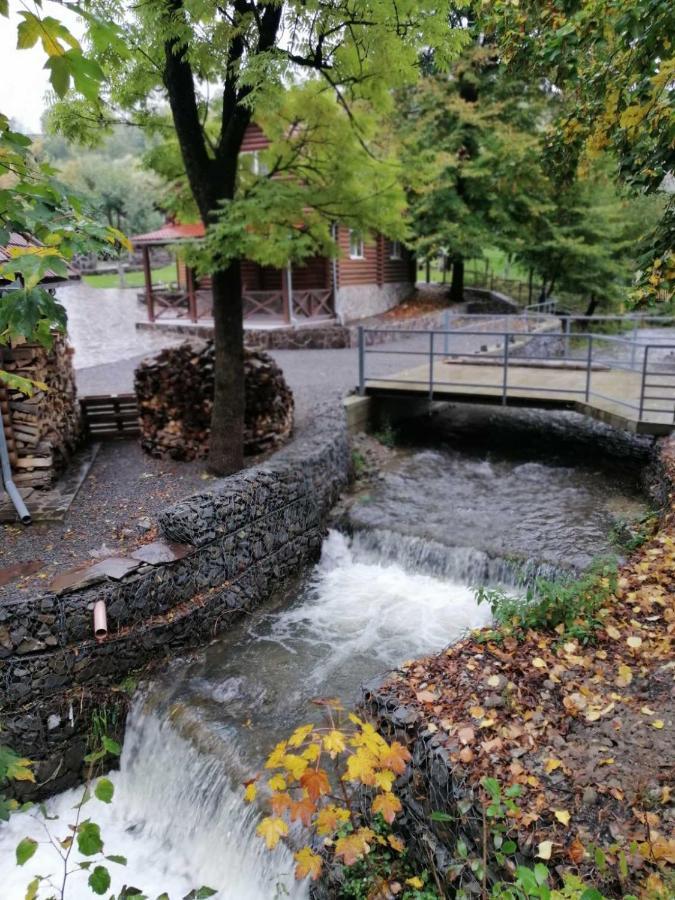 Зачаровані Карпати, Воловець Экстерьер фото
